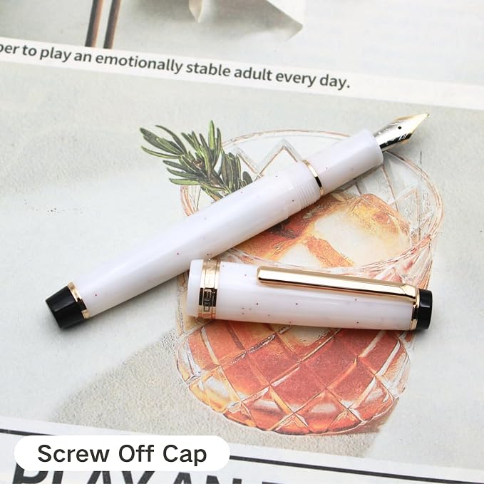 82 Fountain Pen - Iridium Extra Fine Nib with Ink Converter | Acrylic Material Pen Barrel,Winter Snow,Gold Trim