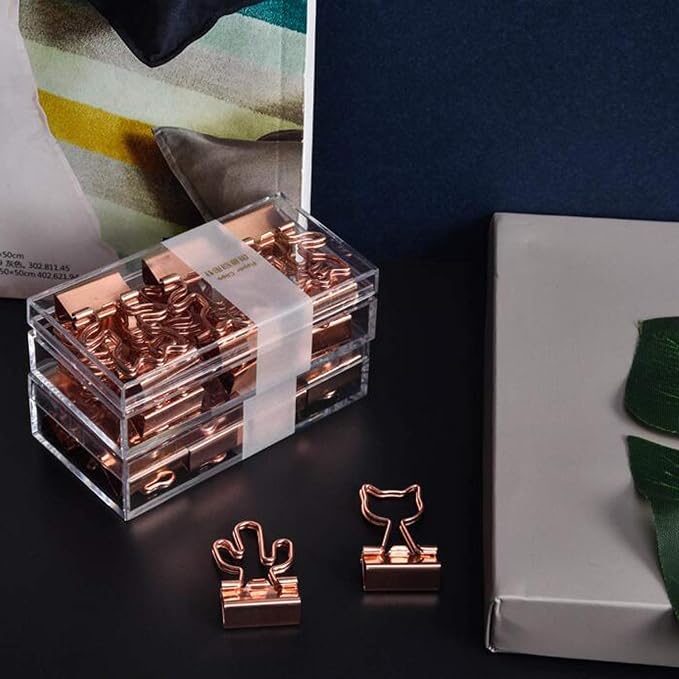 Cactus Binder Clips with Cute Rose Gold Medium Binder Clips in Acrylic Crystal Box for Office School and Home Supplies