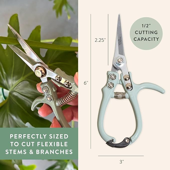 Modern Sprout Pruning Shears - Garden Snips - Herb Scissors - Multi 12-Pack | Lightweight Gardening Tool - Durable Carbon Steel Blade W/Easy-Lock - Gardening Supplies - Flower Cutter - Reusable Holster