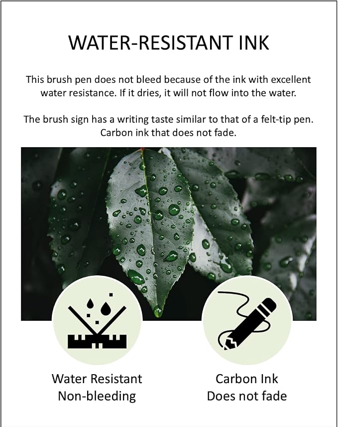 ACEPORTE Zebra Fude Sign Brush Pen Fine (WF1), Calligraphy Pen for Art Drawings, Manga Illustration, Water-Resistant Black Ink, Pack of 10 & Original Sticky note