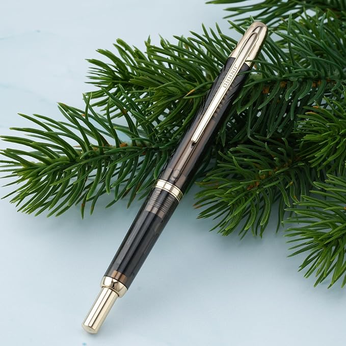 Jinhao 20 Press Retractable Fountain Pen Extra Fine Nib with Converter Resin Writing Gift Pen, Transparent Black with Golden Clip