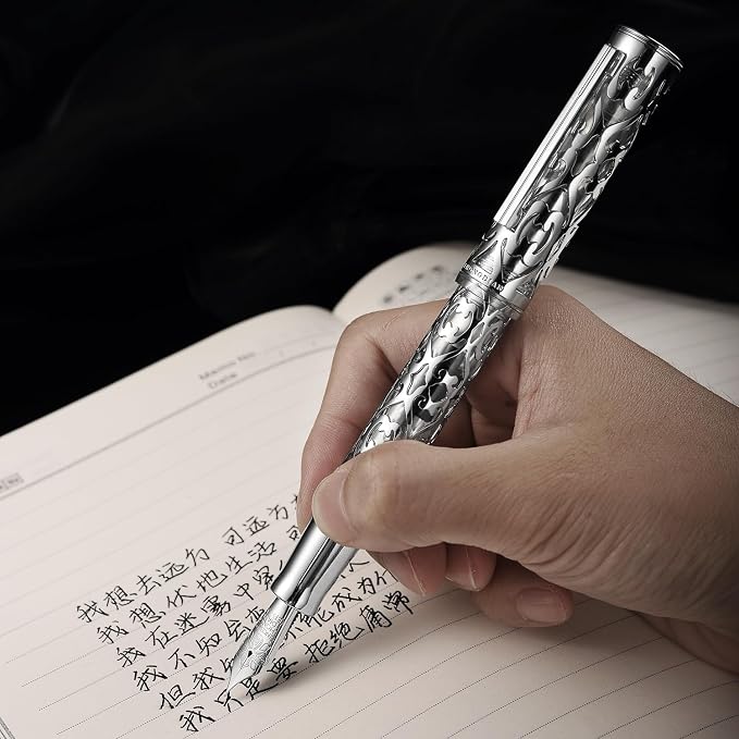 HONG DIAN D1 Piston Fountain Pen Extra Fine Nib, Hollow Skeleton & Resin Pen with Metal Case Set (Silver)