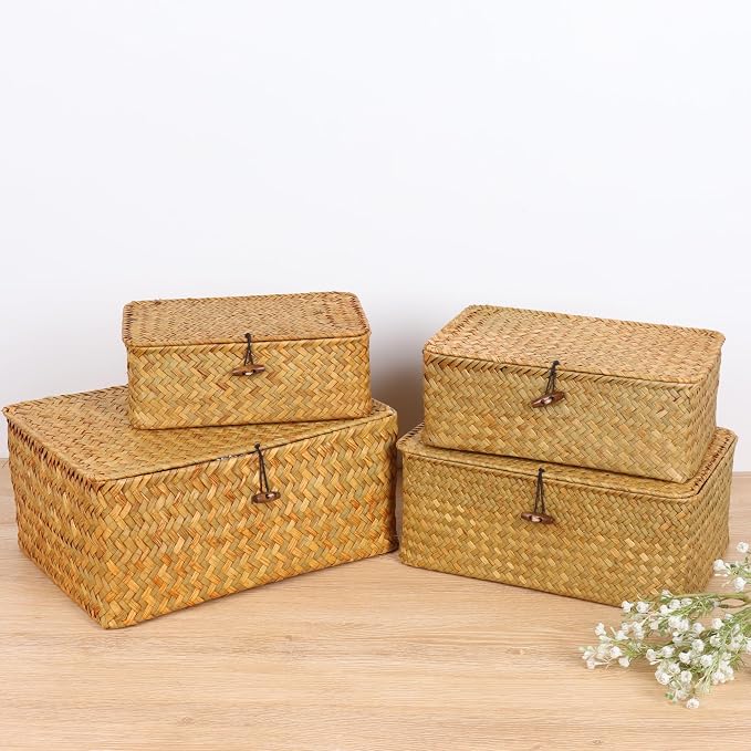 FEIALNDUO Wicker Shelf Baskets with Lid,Seagrass Storage Basket Bins Rectangular Handwoven Basket Boxes for Shelves Desktop Home Organizer (Natural, Medium)