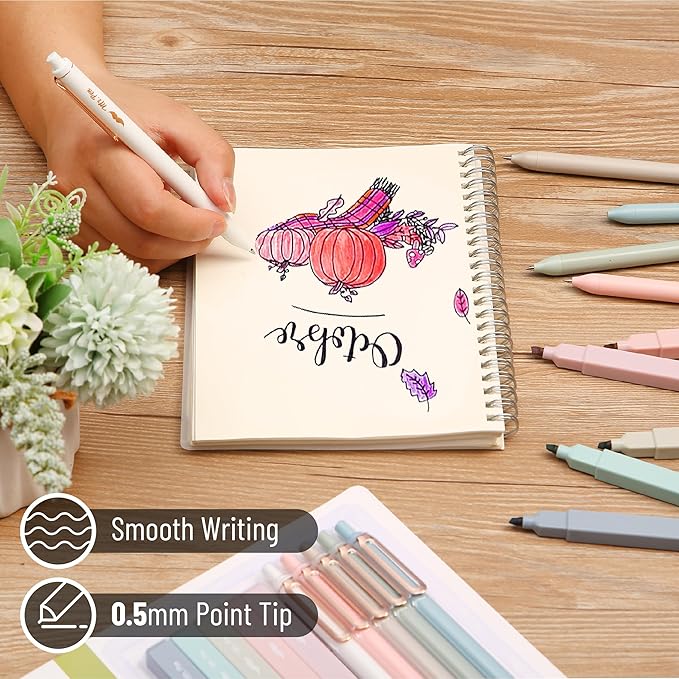 Mr. Pen- Aesthetic Highlighters and Gel Pens, 10 Pack | Assorted Colors Bible Highlighters No Bleed, Black Ink Gel Pens, Fast Dry and No Smear for Bible Journaling, Planner