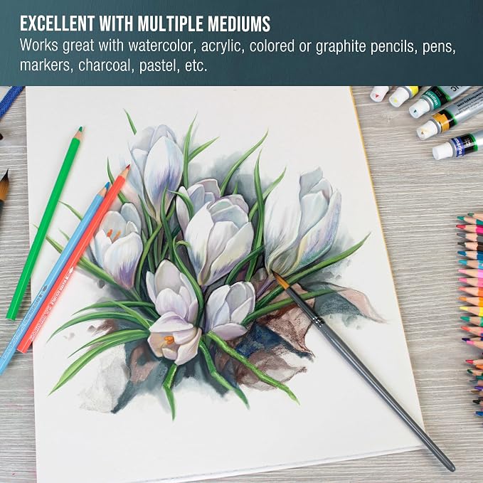 U.S. Art Supply 9" x 12" Premium Heavyweight Watercolor Paper Pad, Pack of 2 (12 Sheets Each), 140lb (300gsm) - Cold Pressed, Acid-Free, Wet, Water Color Paper - for Artists, Students