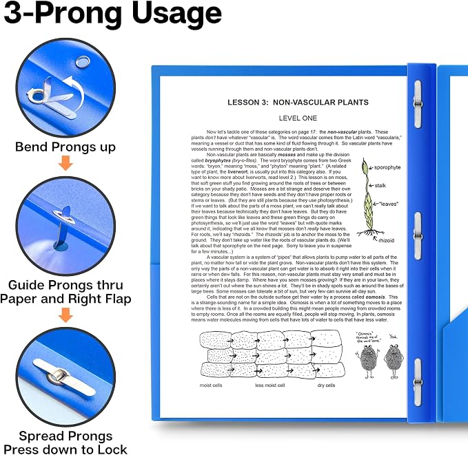 Dunwell Plastic Folders with 3 Prongs, (24 Pack, Blue), 2-Pocket Folders with Fasteners, Durable Acid-Free Poly for Long Term Use, Labels Included