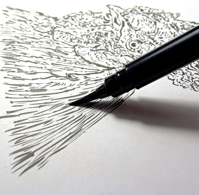 Pentel Arts Pocket Brush Pen with Refills, 1 Pen & 2 Refills