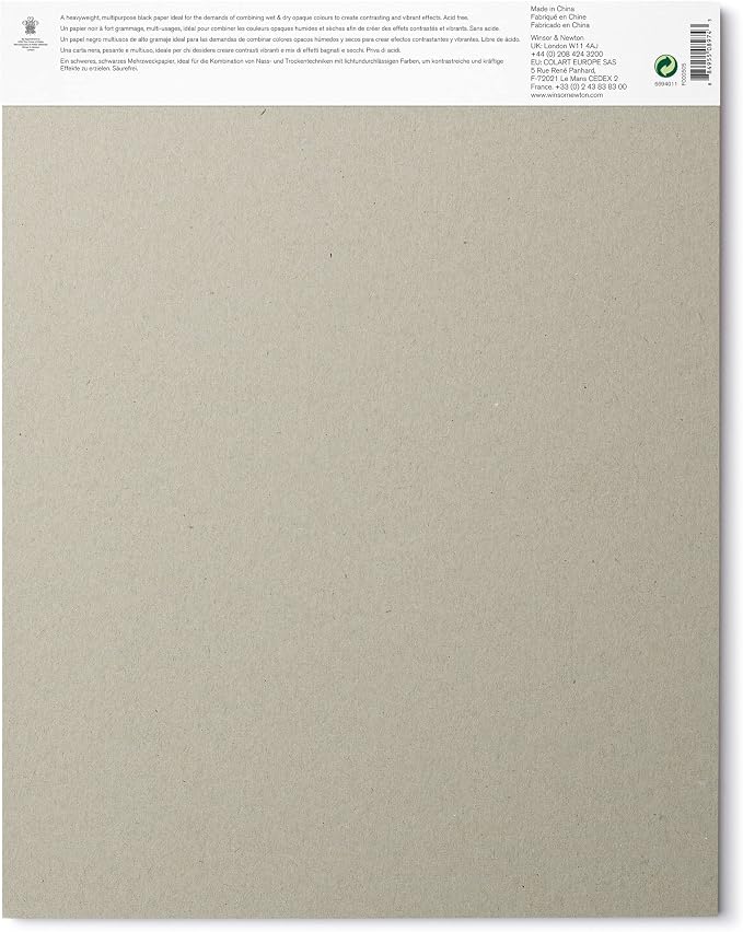 Winsor & Newton Professional Mixed Media Pad, 11" x 14", 25 Sheets, 200gsm, Black