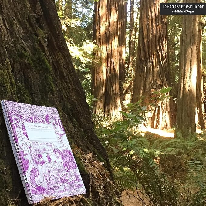 Decomposition Fairy Tale Forest College Ruled Spiral Notebook - 9.75 x 7.5 Journal with 160 Lined Pages - 100% Recycled Paper - Cute Notebooks for School Supplies, Home & Office - Made in USA