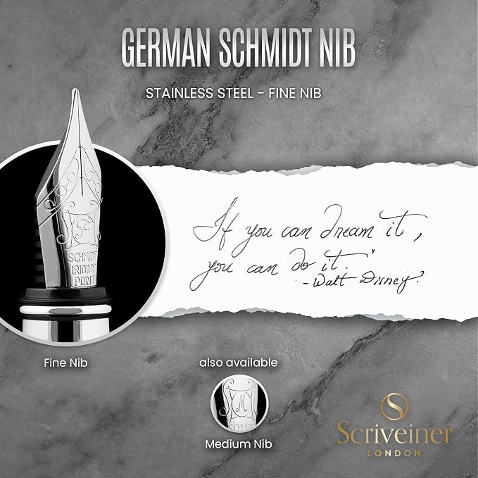 Scriveiner Stainless Steel Fountain Pen - Stunning Luxury Pen with Steel Finish, Schmidt Steel Nib (Fine), Best Pen Gift Set for Men & Women, Professional, Executive Office, Nice Designer Pens