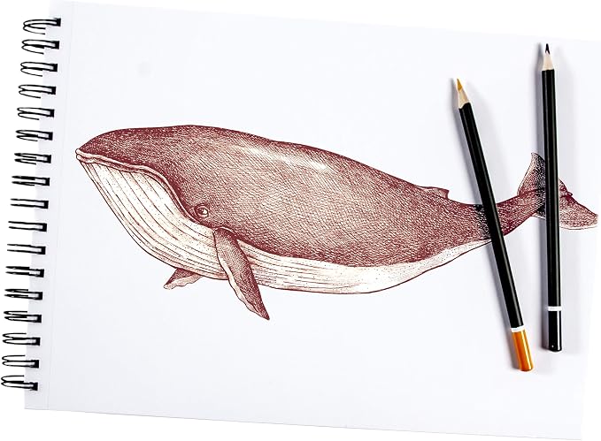 ARTISTIK Spiral Sketch Pad – 100-Sheet Perforated Sketchbook for Pencil, Pastel & Crayon – 100 g/m²(68lb) Mixed Media Sketching & Writing Pad – 9" x 12", Pack of 2