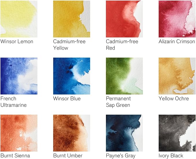 Winsor & Newton Professional Watercolor Paint Set, Compact Set, 12 Half Pan and Accessories