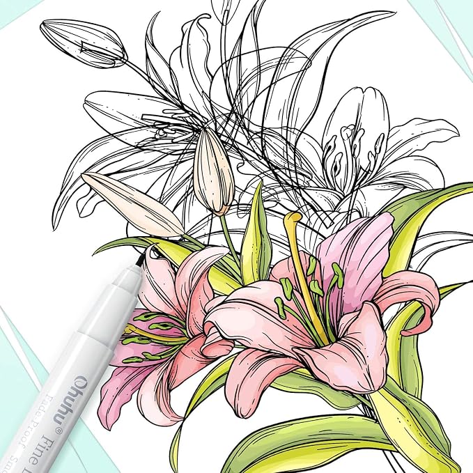 Ohuhu Fineliner Micro Drawing Pens: 8-size Tips (Ultra-fine, Fine & Brush) | Waterproof Pigment Black Ink for Illustration Drawing Journaling Sketching for Artist Beginners