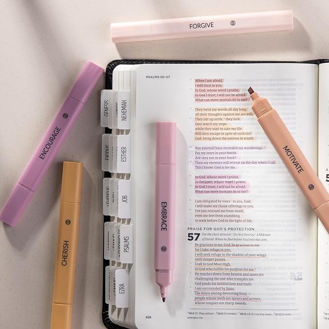 DIVERSEBEE Bible Highlighters Assorted Colors, No Bleed (Rose) | 5 Pack Dual Tip Aesthetic Pastel Highlighter Pens for Journaling, Note Taking, School, Bible Study Supplies and Accessories