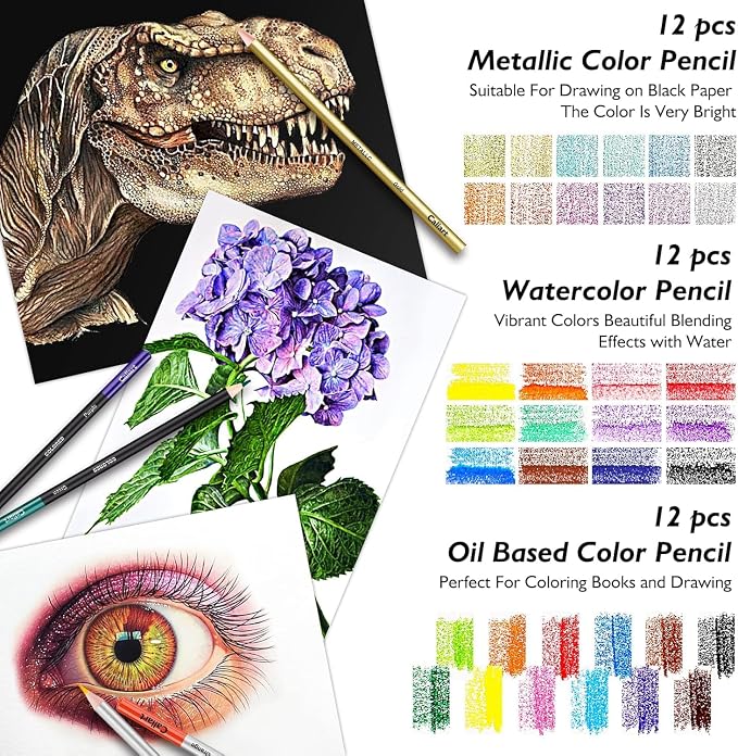 Caliart 176PCS Art Supplies Sketching Kit, 100 Sheets 3-Color Sketch Book | Graphite Colored Charcoal Watercolor & Metallic Pencils, Drawing Supplies Set Gifts for Artists Adults Beginners