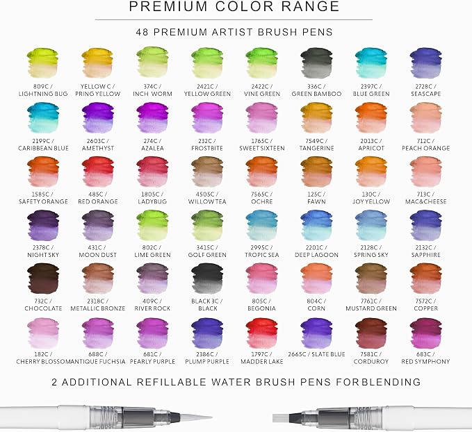 DOODLE HOG 48 Premium Watercolor Pens +2 Highly Blendable Watercolor Markers, Flexible Tip Brush Pens for Drawing and Illustration, Art Supplies for Adults, Gift Box