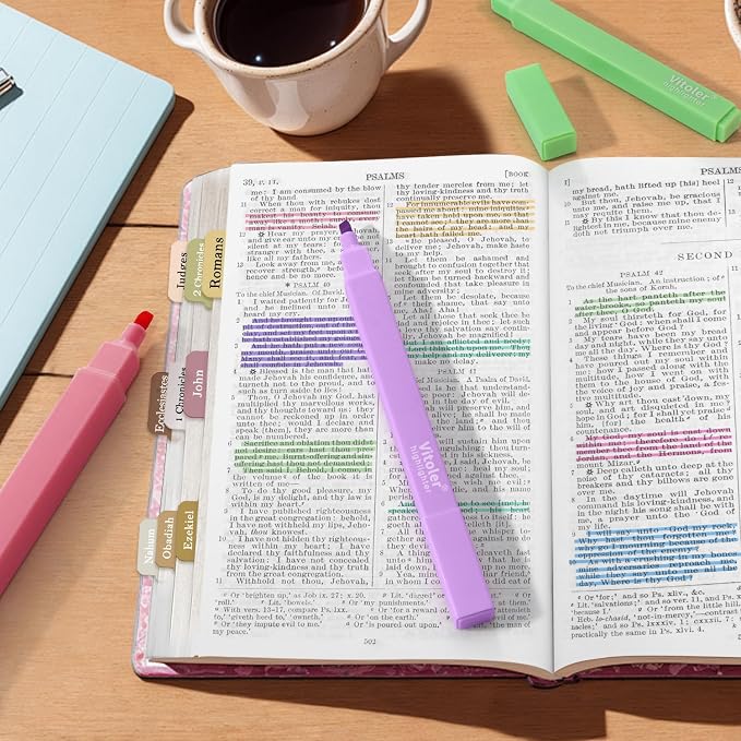 Vitole Cute Highlighters Set,Assorted Color,Quick Dry,Cute School Supplies | 10Pcs Aesthetic, Pastel,No Bleed,Dry Fast, Bible Study for Journaling Planner Notes