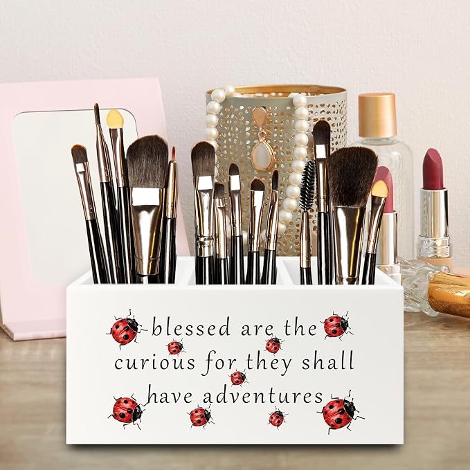 Inspirational Ladybug Pen Pencil Holder Organizer for Desk, Motivational Wooden Box Signs Decorations for Home Office Desk Tabletop, Inspirational Gifts for Women Men