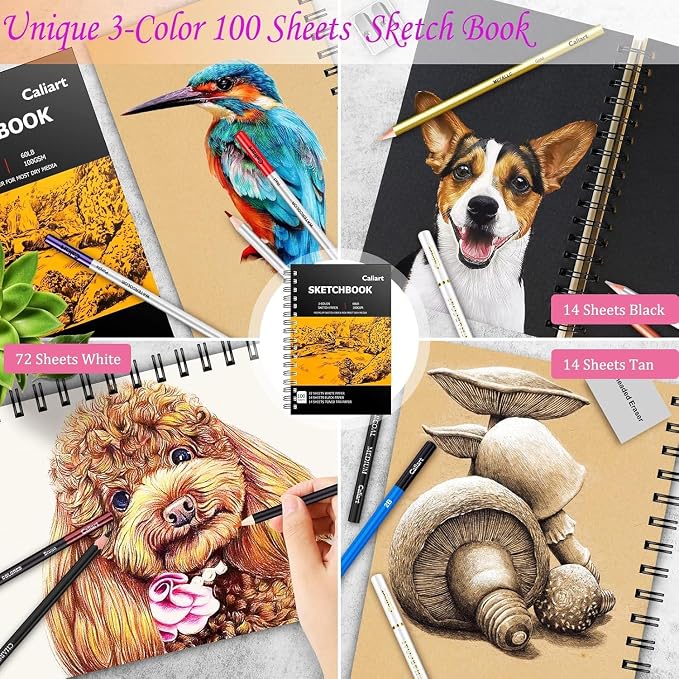 Caliart 176PCS Art Supplies Sketching Kit, 100 Sheets 3-Color Sketch Book | Graphite Colored Charcoal Watercolor & Metallic Pencils, Drawing Supplies Set Gifts for Artists Adults Beginners