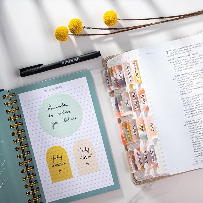 DiverseBee Transparent Sticky Notes (Includes Quick Dry Pen), Cute Clear Sticky Tabs, Translucent Page Flags Book Markers Stickers, Planner Accessories Bible Journaling Study Office Supplies (Matera)