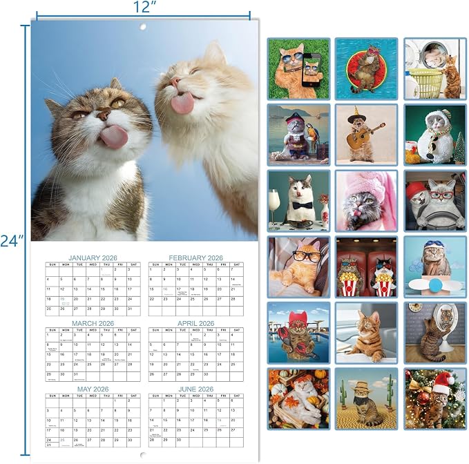 Calendar 2026-2027 - Wall Calendar 2026-2027, JUL 2026 - DEC 2027, Funny Cats Calendar 26-27, Wall Calendar 18 Month, Funny Cat Memes Pics, 12'' x 24'' (Open), Unruled Block, Hanging Hole, Holidays