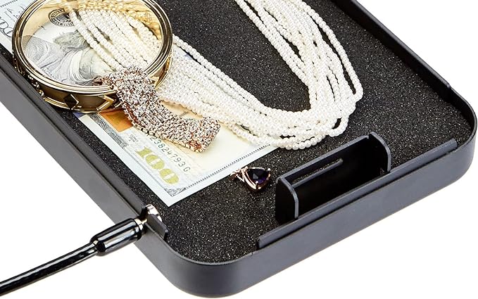 Amazon Basics Portable Security Case Lock Box Safe with Combination Lock for Valuables, Documents, College Dorm Room, XL, Black