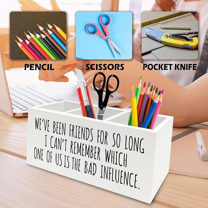 Funny Sarcastic Friendship Pen Pencil Holder Organizer for Desk, Humorous Gifts, We've Been Friends for So Long I Can't Remember Which Wooden Box Signs Decor for Home Office Desk Tabletop