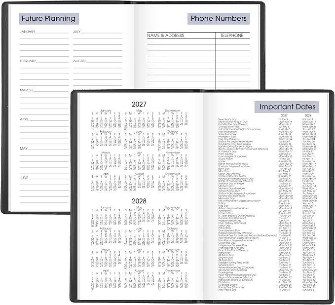 AT-A-GLANCE 2027 Planner, Weekly, 3.5" x 6", Pocket Size, Open Scheduling, DayMinder, Black (SK480027)