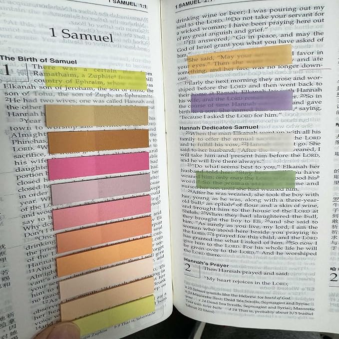 ELII 6000pcs Books Tabs for Annotating Page Tabs Morandi Sticky Index Tabs | Transparent Sticky Notes,Label Stickers,Index Tabs for Reading Notes, Classify File, Writable Repositionable,Bible Study