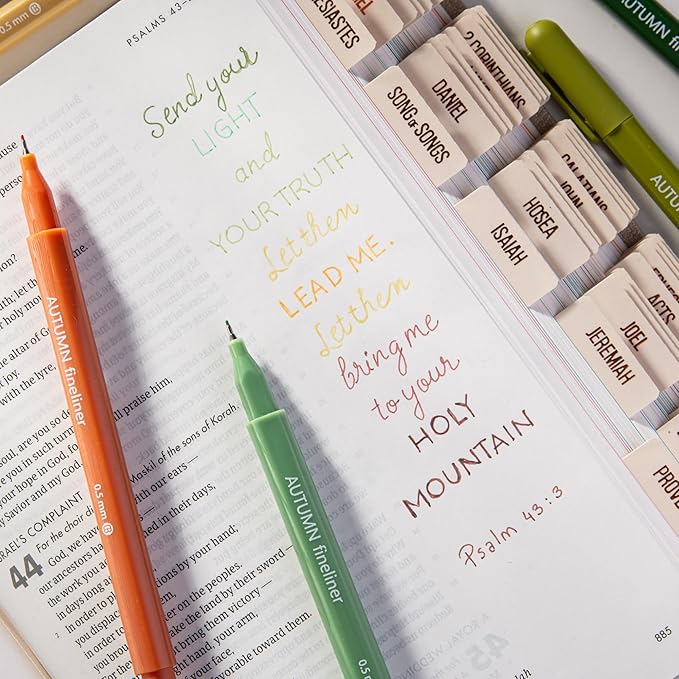 DIVERSEBEE Fine Tip Pens, 0.5mm Fine Point, Assorted Colors (Autumn) | 8 Bible Pens No Bleed Through Fineliners, Markers for Journaling, Bible Study Journaling Supplies and Accessories