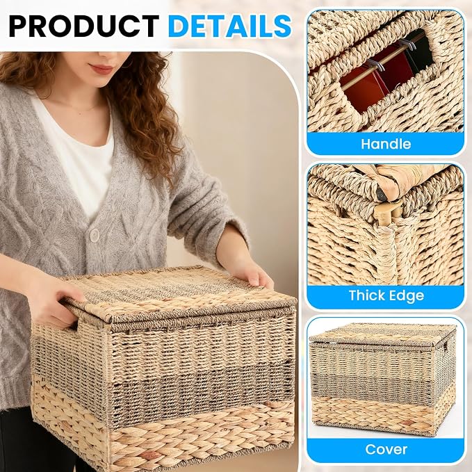 Decorative File Box 14 x 12 x 11 in Wicker Seagrass File Basket Organizer for Letter Size Hand Woven Hanging Filing Cabinet with Lid for Document Folder Home Office Decor, Water Hyacinth, Tricolor