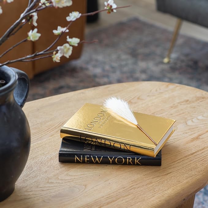 Decorative Books for Home Decor – Decorative Hardcover Display Faux Books for Bookshelf – Black and Gold Foiled Decor Books for Coffee Table – Fashion Designer Books Decor Set of 3 (Black and Gold) | Bookshelf Decor, Faux Hardcover Books, Black & Gold ...