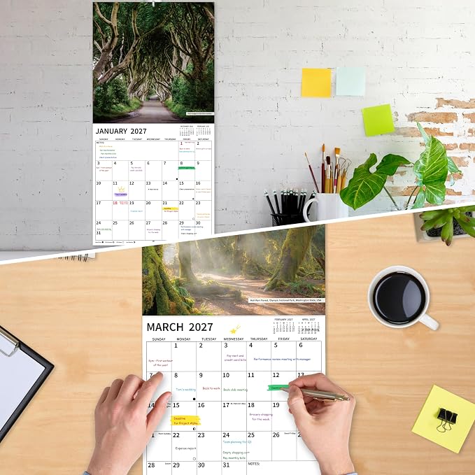 2026-2027 Wall Calendar, 2026-2027 Pathways Calendar, 18 Months from Jul 2026 - Dec 2027, 12" x 24" Open, Thick Paper, Hanging Holes, Large Blocks, Holidays, Gifts for Planning Organizing