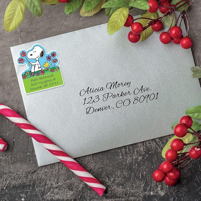 Colorful Images Year Round Holiday Peanuts Return Address Mailing Labels, Personalize with Name & Shipping Address, Set of 144 Self Adhesive, Easy Peel Flat Sticker Label Sheets, Diecut, 12 Designs