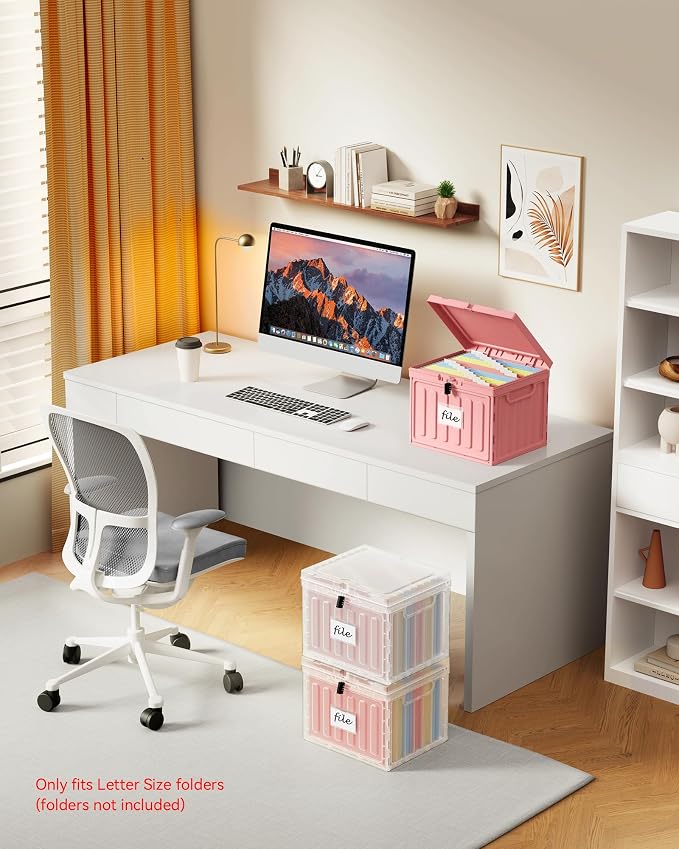 Oterri Lockable Plastic File Box with Lid for Letter-Size | Hanging File Folders Not Included. Pink, Large 2-Pack. Home, Office, Classroom, Dorm, Tax, Under Bed, Filing Cabinet.