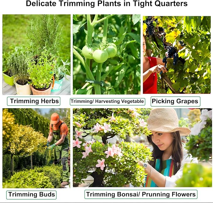 4 Pack Pruning Shears, 6.5 Inch Garden Scissors Gardening Hand Pruning Snips with Straight Stainless Steel Precision Blades for Gardening Flower Plant Precise Trimming and Pruning Maintenance