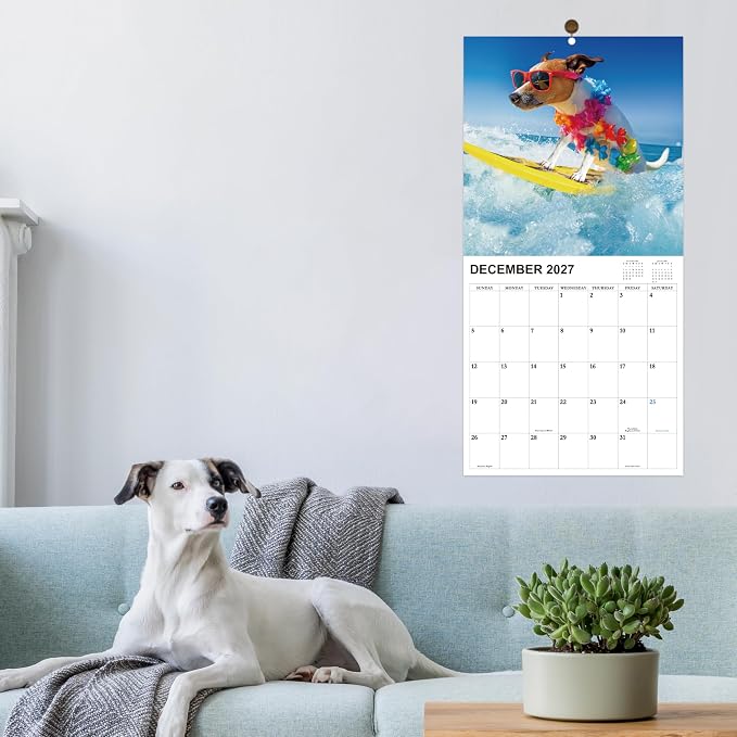 2026-2027 Calendar - 18-Month Wall Calendar 2026-2027 Funny Dog Calendars from Jul. 2026 - Dec. 2027, Wall Calendar with Unruled Blocks, Holidays, 12" x 24"(open), Fun Wall Calendars Gag Gifts - Funny Dog