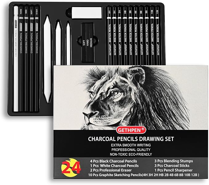 GETHPEN Drawing Sketching Pencil Set,Graphite 12B-4H Charcoal Pencils,24Pcs | Sketch Drawing Kit, Black and White Charcoal Pencils,Stumps,Eraser,Sharpeners, Sketching, Shading, Artist Charcoal Supplies