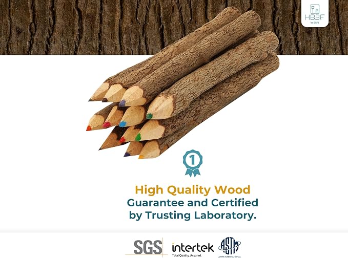 BSIRI Bark Color Wood Pencils Set Assorted-Stick Twig of 5 Inch Tree Bark Wooden Favors in Rustic Twig Pencils Unique Gifts Camping Lumberjack Decorations Party Supplies Novelty Gifts