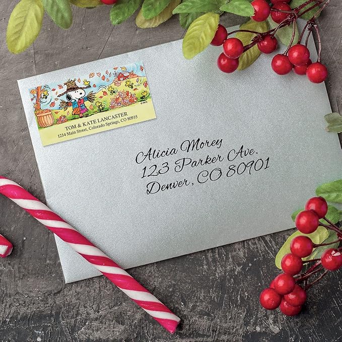 Colorful Images Scarecrow Fall Peanuts Return Address Mailing Labels, Personalize with Name & Shipping Address, Set of 144 Self Adhesive, Easy Peel Flat Sticker Label Sheets, Large