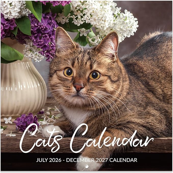 Calendar 2026-2027 - Wall Calendar 2026-2027, Jul. 2026 - Dec. 2027, 12" x 24" (Open), 18 Months Cat Calendar 26-27, Large Wall Calendar Kitten, Thick Paper, Unruled Blocks, Perfect for Organizing | 12" x 24" (Open), 18 Months Cat Calendar 26-27, Large...