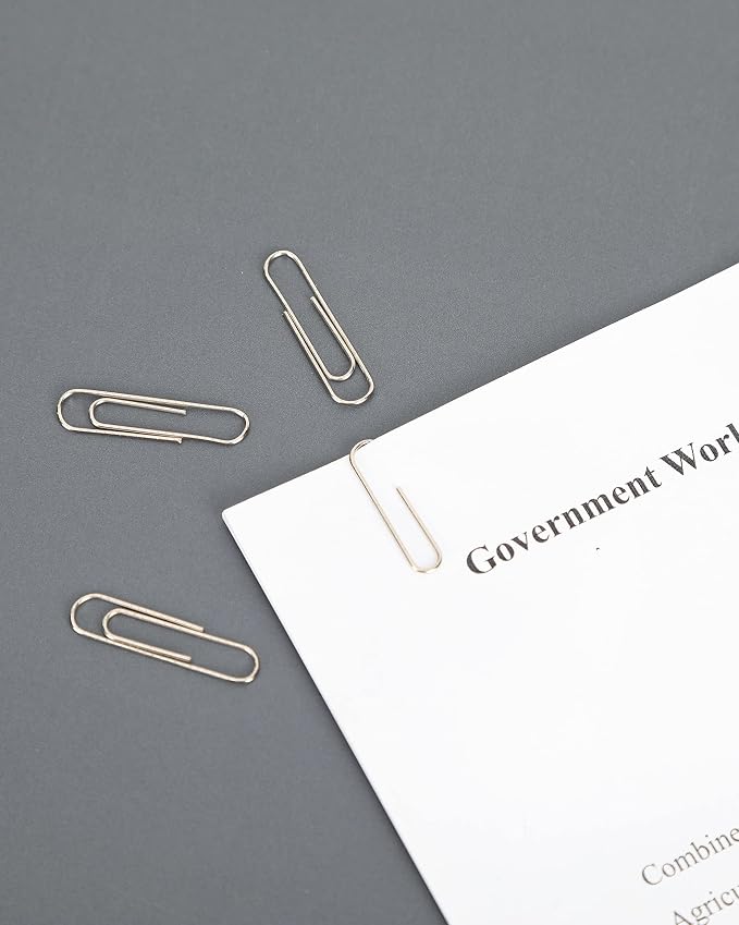 PAPERPAL Paperclips for Office School & Personal Use, #1 Nonskid Paper Clip (1-2/7"), 600 Medium Paper Clips (6 Boxes of 100 Each), Silver | Medium paper clips for office, school and personal use, conveniently packed in 6 boxes of 100 each.