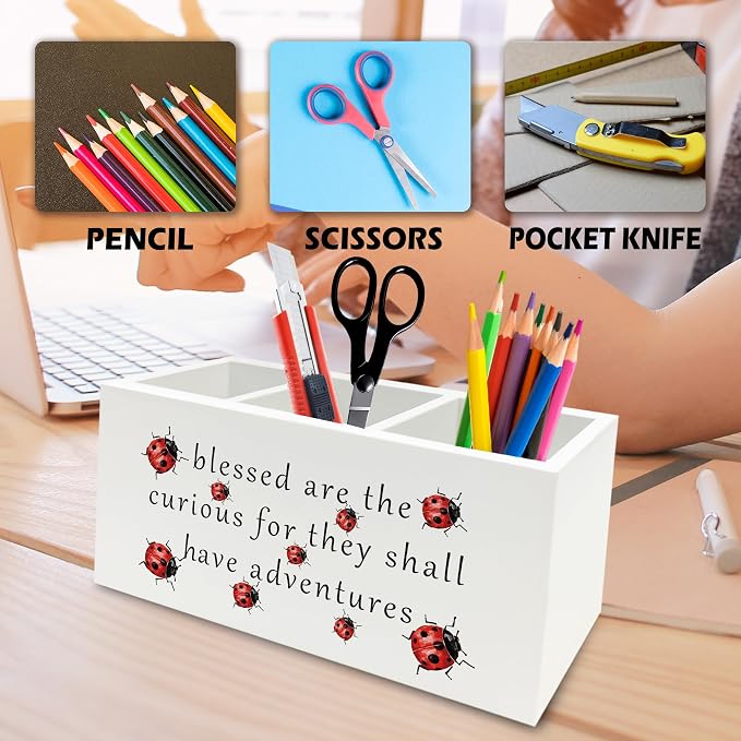 Inspirational Ladybug Pen Pencil Holder Organizer for Desk, Motivational Wooden Box Signs Decorations for Home Office Desk Tabletop, Inspirational Gifts for Women Men