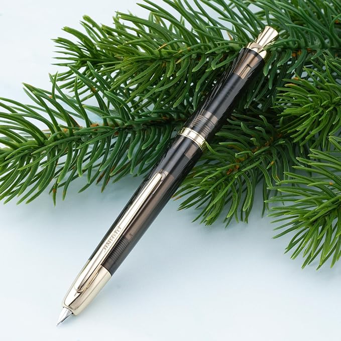 Jinhao 20 Retractable Fountain Pen Fine Nib with Converter Resin Writing Gift Pen, Transparent Black with Golden Clip