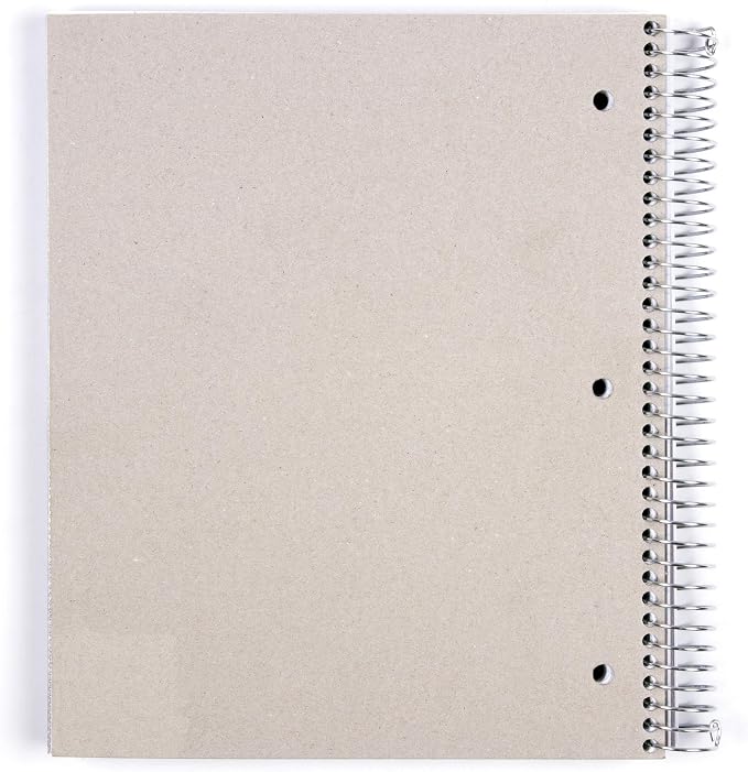 Mintra Office Durable Spiral Notebooks, 5 Subject (Sage Green, College Ruled 1pk)