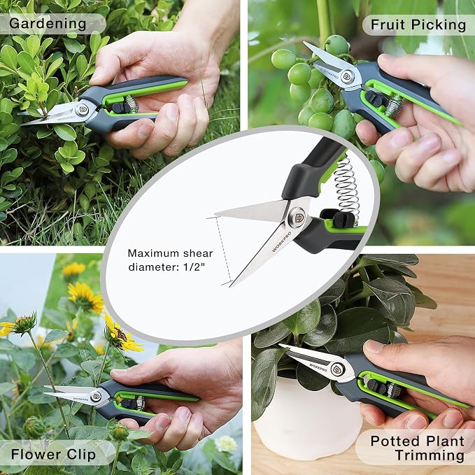 WORKPRO 2 Pack Garden Pruning Shears, 6.5" Small Hand Pruners with Sheath | Sharp Straight Blades, Spring Loaded Design, Precision Microgreen Trimming, Ideal for Flowers, Weeds & Bonsai