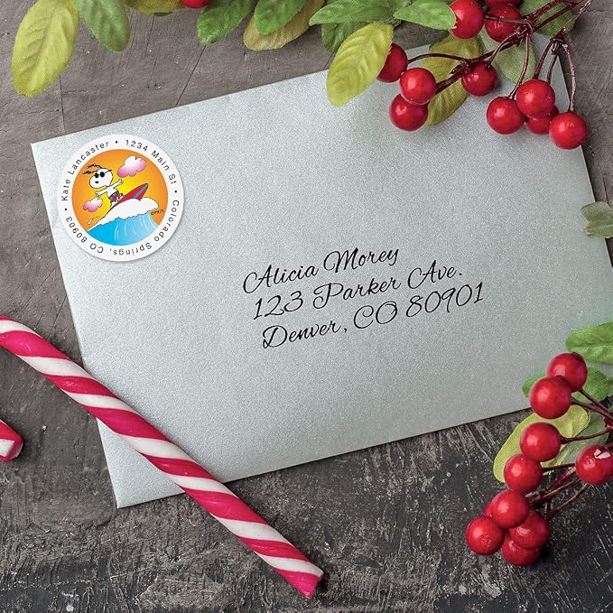 Colorful Images Year-Round Celebrations Holiday Peanuts Return Address Mailing Labels,Personalize with Name & Shipping Address,Set of 144 Self Adhesive, Easy Peel Flat Sticker Label Sheets,12 Designs