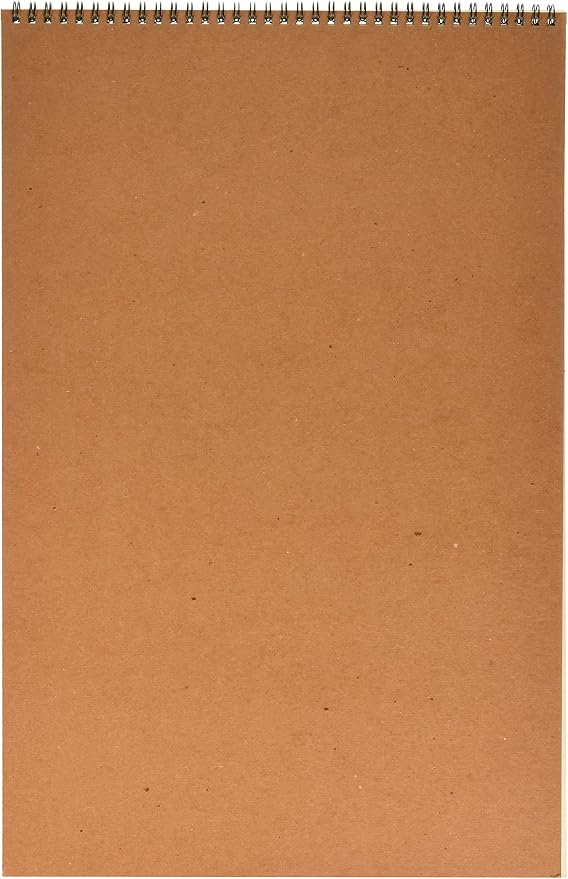 Strathmore (400-6 400 Series Drawing, Medium Surface, 12"x18", 24 Sheets , White