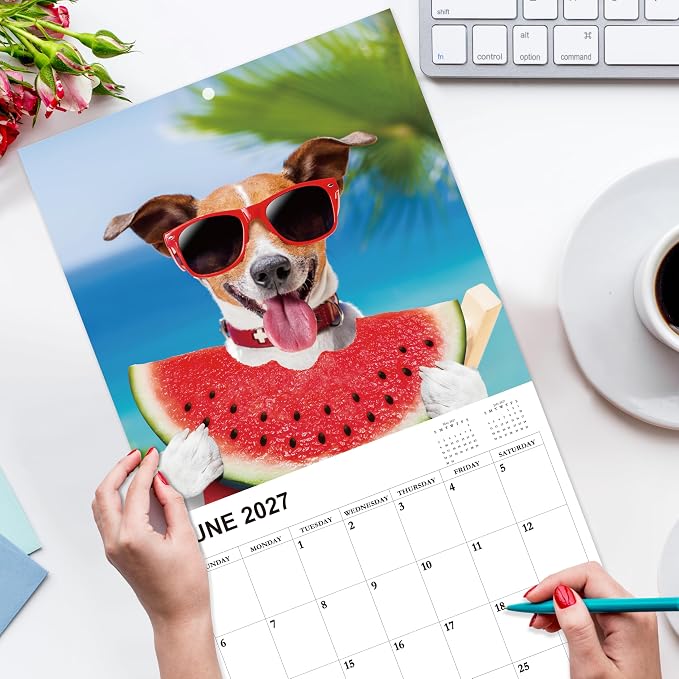 2026-2027 Calendar - 18-Month Wall Calendar 2026-2027 Funny Dog Calendars from Jul. 2026 - Dec. 2027, Wall Calendar with Unruled Blocks, Holidays, 12" x 24"(open), Fun Wall Calendars Gag Gifts - Funny Dog