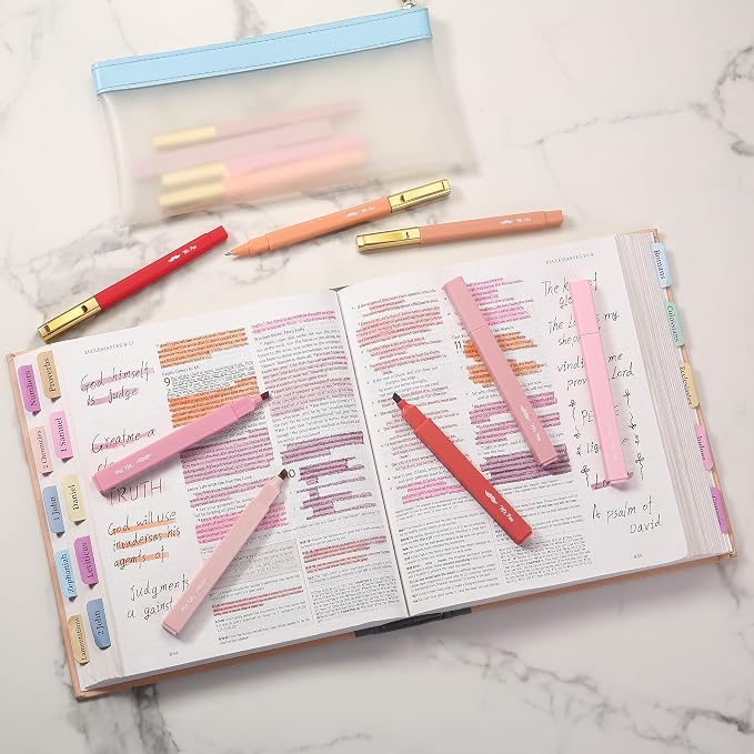 Mr. Pen- Aesthetic Highlighters and Ballpoint Pens No Bleed, 12 Pack | Shades of Pink, Bible Highlighters and Pens No Bleed, Fast Dry and No Smear for Bible Journaling, Planner, School Supplies